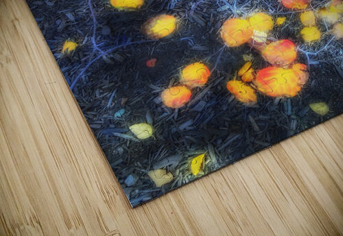 V324 Natalie Stanislavsky puzzle