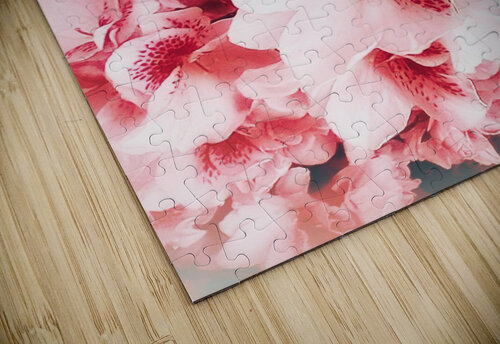 V325 Natalie Stanislavsky puzzle