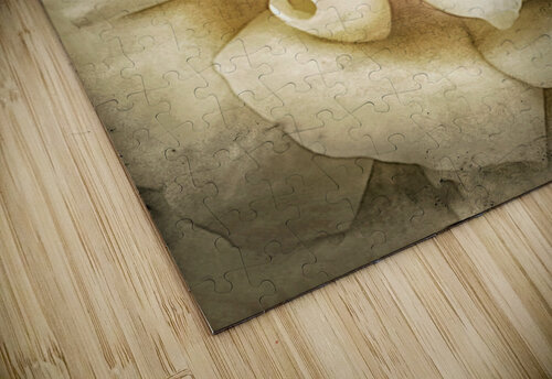 V332 Natalie Stanislavsky puzzle