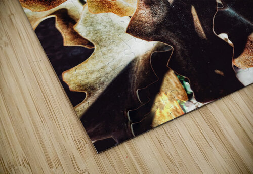 V335 Natalie Stanislavsky puzzle