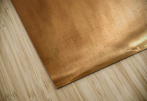 V365 Natalie Stanislavsky puzzle