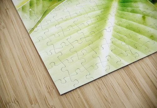 V370 Natalie Stanislavsky puzzle