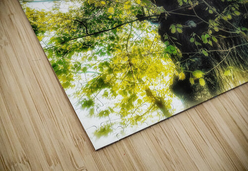 V371 Natalie Stanislavsky puzzle