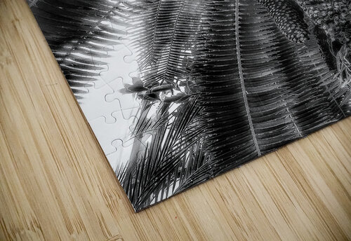 V375 Natalie Stanislavsky puzzle