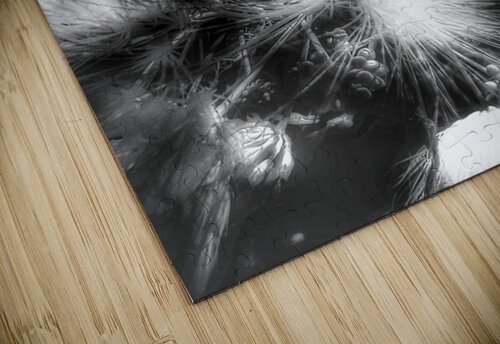 V380 Natalie Stanislavsky puzzle