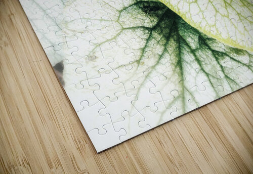 V381 Natalie Stanislavsky puzzle