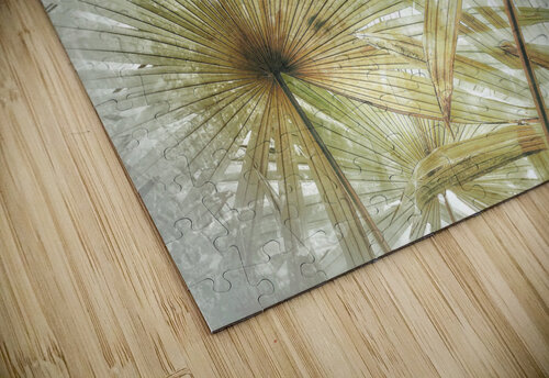 V382 Natalie Stanislavsky puzzle