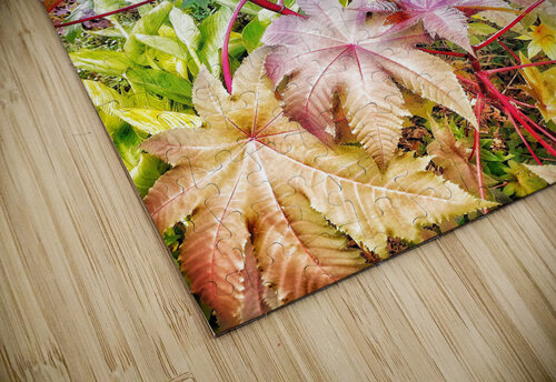 V384 Natalie Stanislavsky puzzle