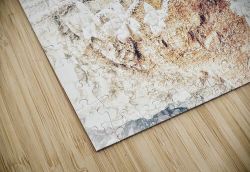 V390 Natalie Stanislavsky puzzle