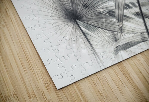 V398 Natalie Stanislavsky puzzle