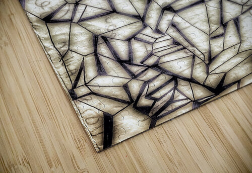 V423 Natalie Stanislavsky puzzle