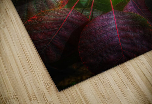 V444 Natalie Stanislavsky puzzle