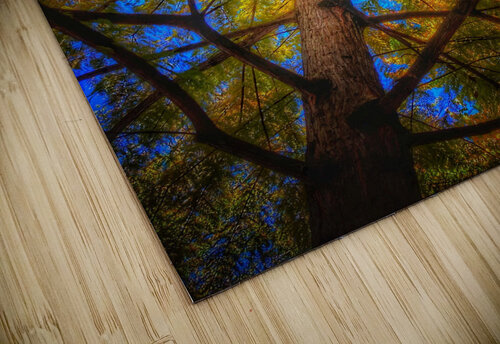 V445 Natalie Stanislavsky puzzle