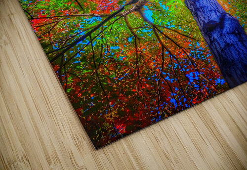 V446 Natalie Stanislavsky puzzle