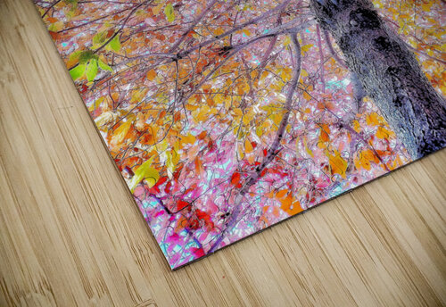 V448 Natalie Stanislavsky puzzle