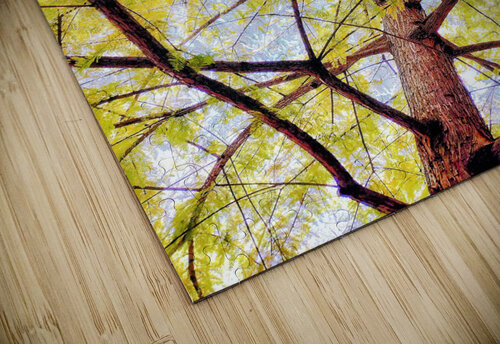 V449 Natalie Stanislavsky puzzle