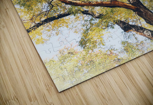 V453 Natalie Stanislavsky puzzle