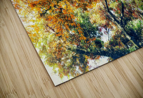 V455 Natalie Stanislavsky puzzle