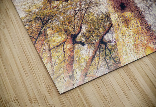 V456 Natalie Stanislavsky puzzle