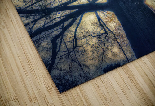 V458 Natalie Stanislavsky puzzle