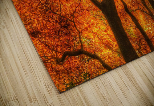 V459 Natalie Stanislavsky puzzle