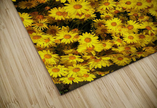V460 Natalie Stanislavsky puzzle