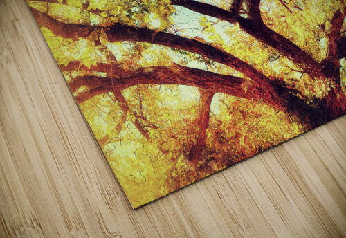V463 Natalie Stanislavsky puzzle