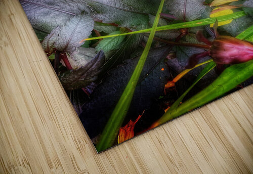 V464 Natalie Stanislavsky puzzle