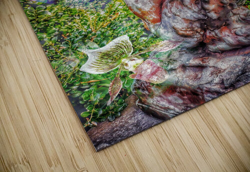 V466 Natalie Stanislavsky puzzle
