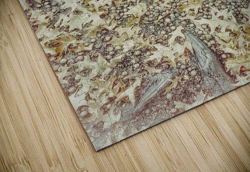 V470 Natalie Stanislavsky puzzle