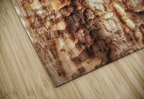 V475 Natalie Stanislavsky puzzle