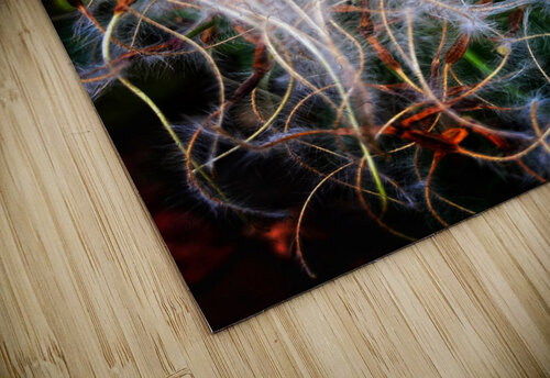 V476 Natalie Stanislavsky puzzle