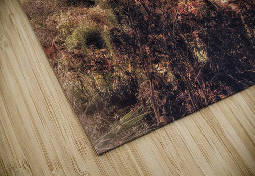 V477 Natalie Stanislavsky puzzle