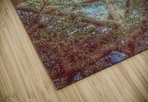 V479 Natalie Stanislavsky puzzle
