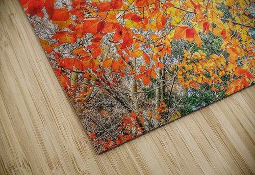 V482 Natalie Stanislavsky puzzle