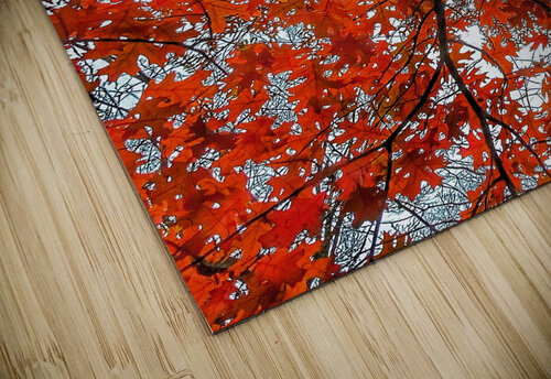 V485 Natalie Stanislavsky puzzle