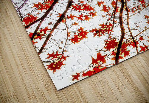 V487 Natalie Stanislavsky puzzle