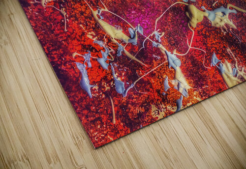 V519 Natalie Stanislavsky puzzle