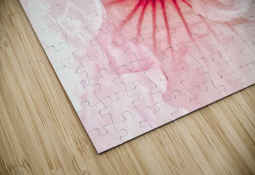 V546 Natalie Stanislavsky puzzle