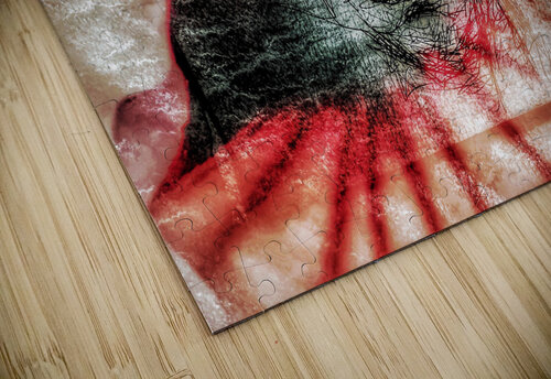 V554 Natalie Stanislavsky puzzle