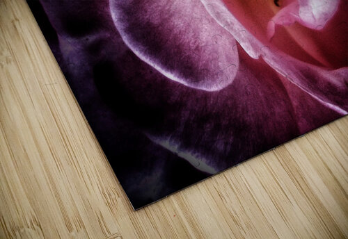 V608 Natalie Stanislavsky puzzle