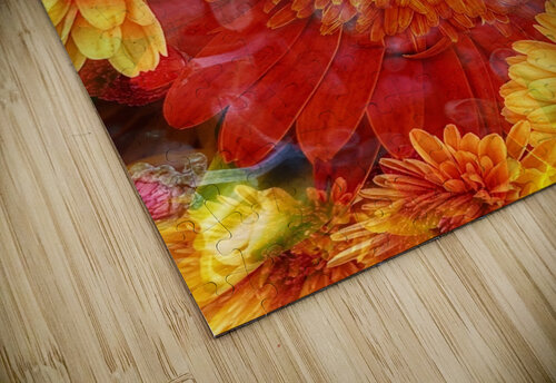 V609 Natalie Stanislavsky puzzle