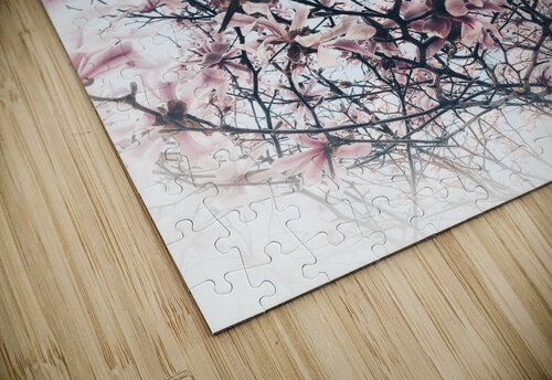 V617 Natalie Stanislavsky puzzle
