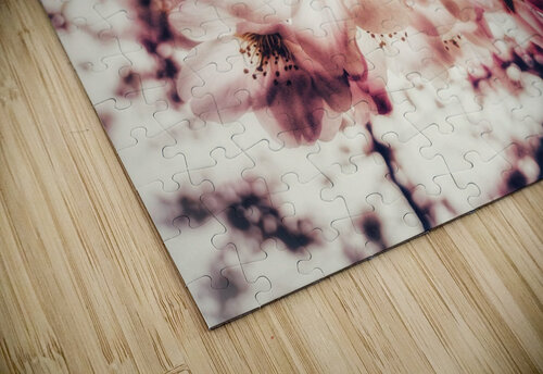 V621 Natalie Stanislavsky puzzle