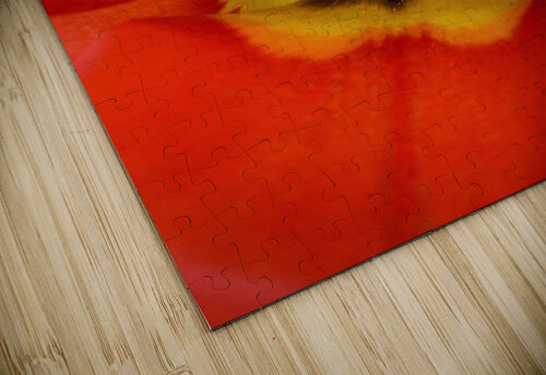 V622 Natalie Stanislavsky puzzle