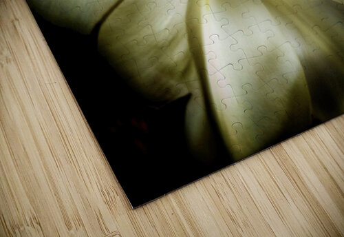 V624 Natalie Stanislavsky puzzle