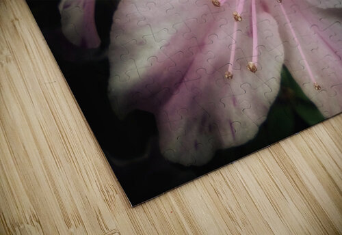V627 Natalie Stanislavsky puzzle