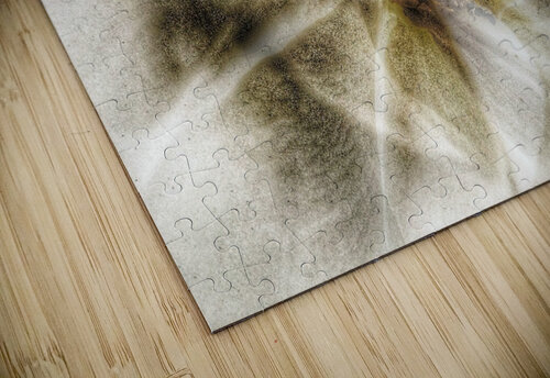 V635 Natalie Stanislavsky puzzle