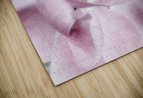 V637 Natalie Stanislavsky puzzle