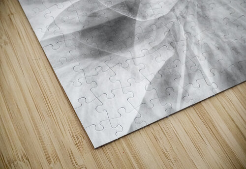 V639 Natalie Stanislavsky puzzle
